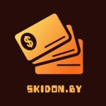 Logo of SKIDON.BY android Application 